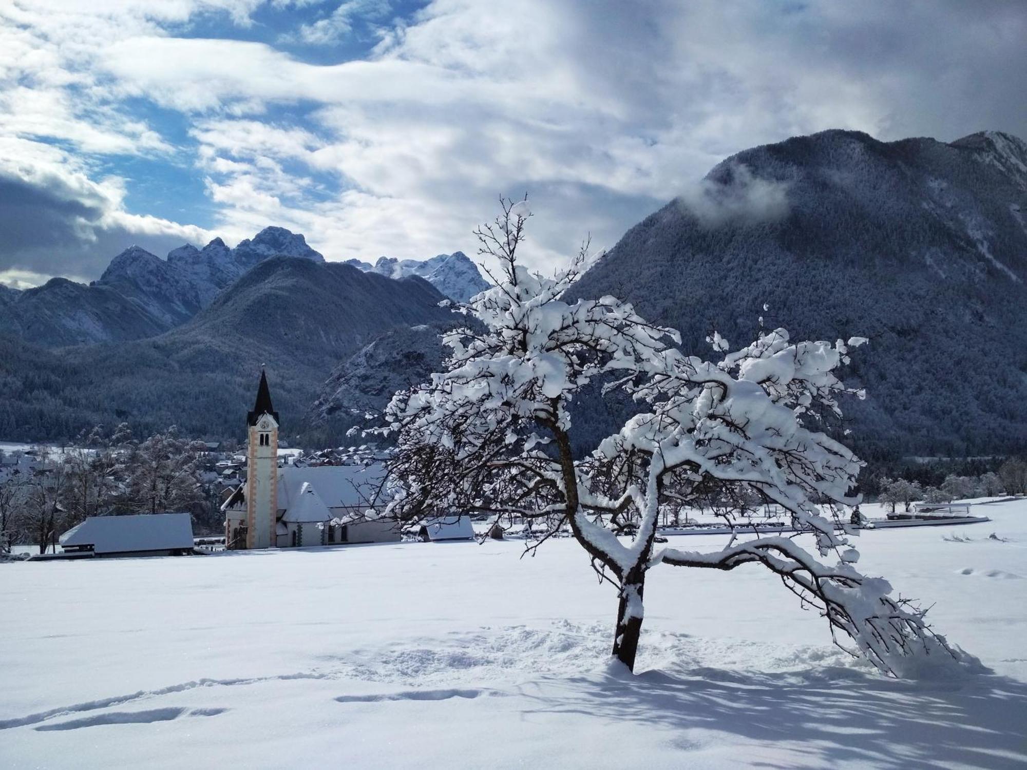 Apartments Triglav Мойстрана Экстерьер фото